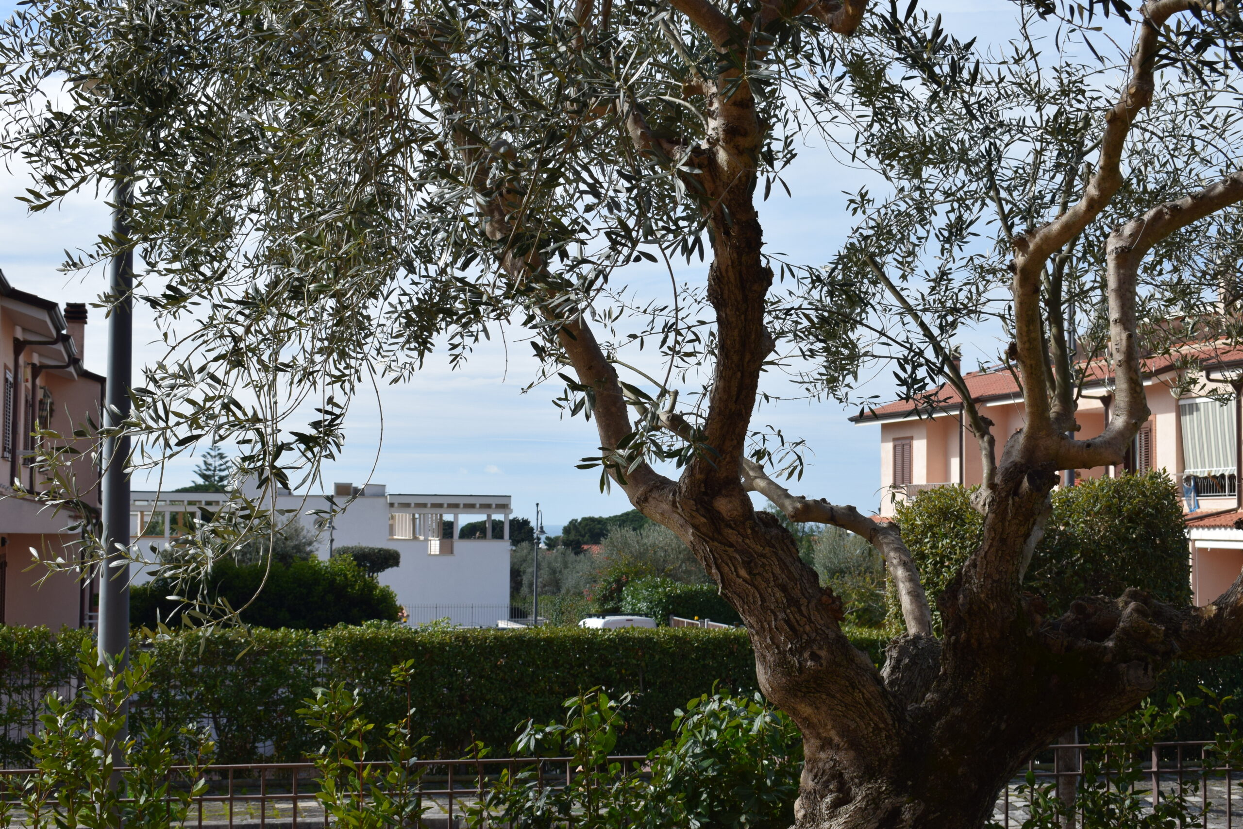 Villa A Sperlonga Omero1 giardino vista lato mare